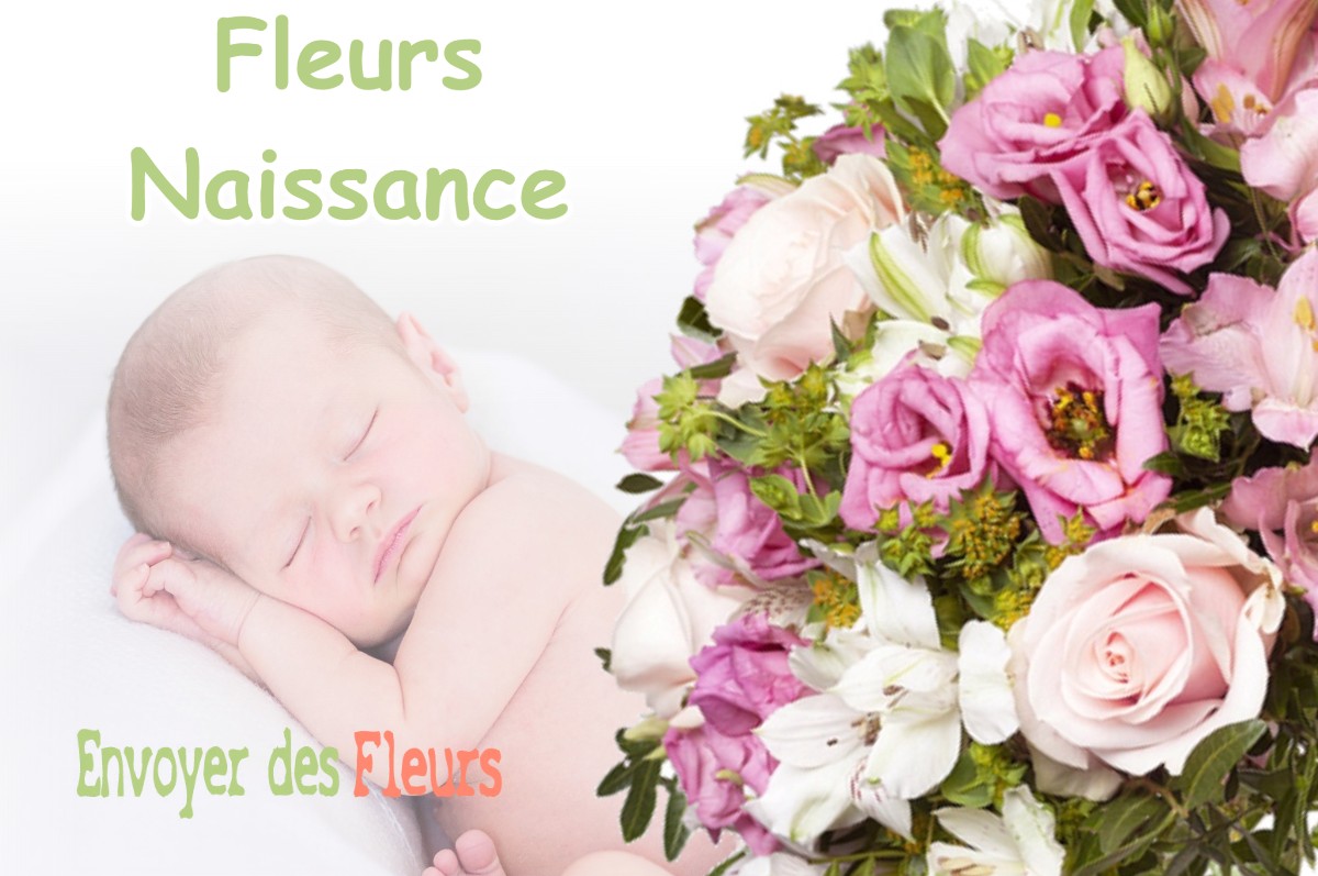 lIVRAISON FLEURS NAISSANCE à MENS